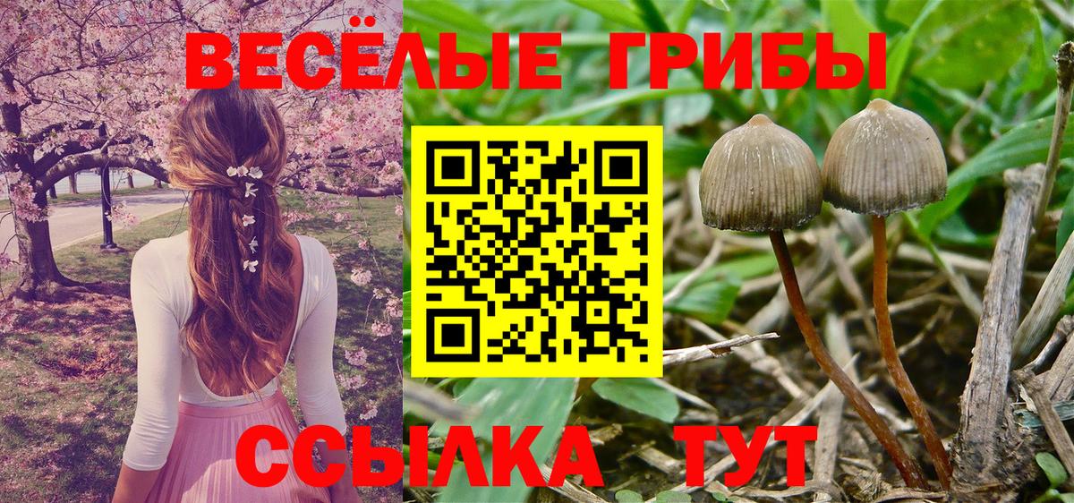 Валуйки  Псилоцибиновые грибы GOLDEN TEACHER  Псилоцибиновые грибы Cubensis  Вход с VPN 